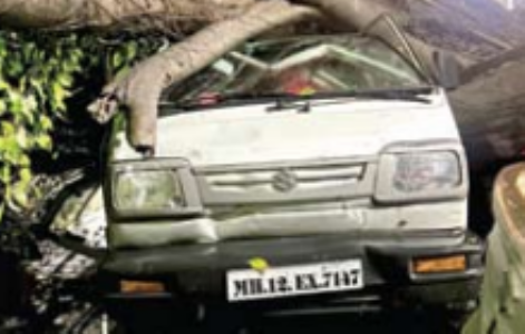 29 स्थानाें पर पेड़ व उनकी शाखाएं गिरीं; दुर्घटना में काेई हताहत नहीं